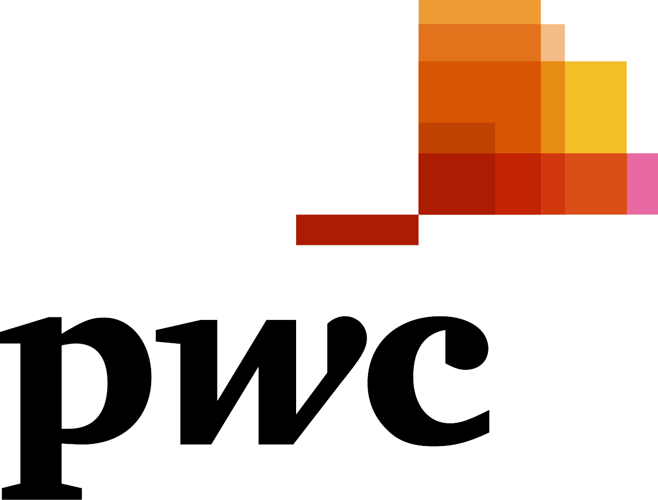 PwC logo no background-1