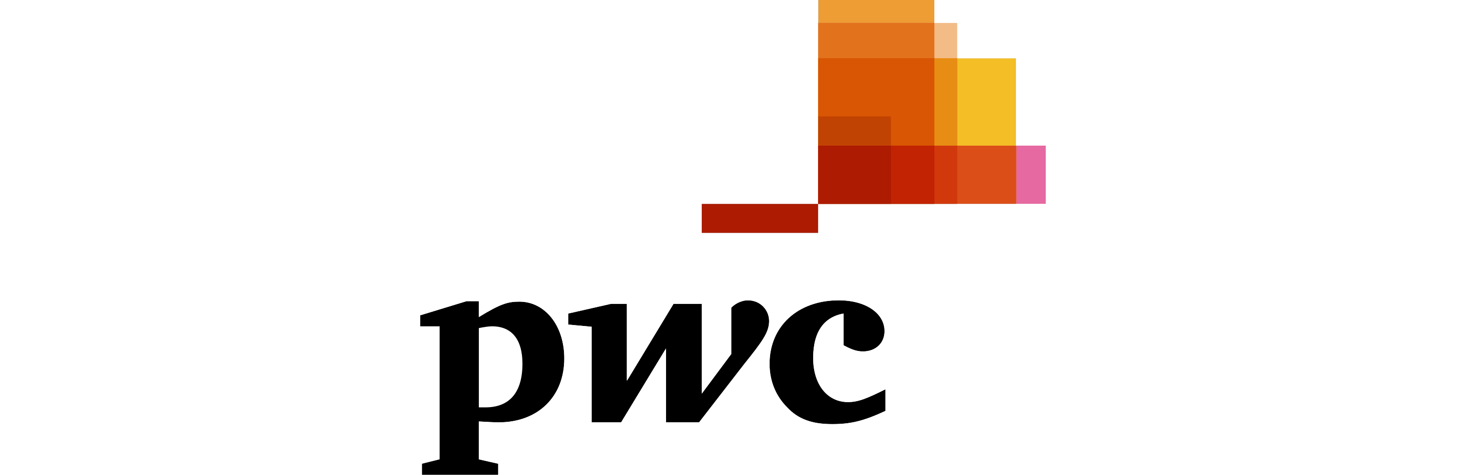 PwC logo no background-3